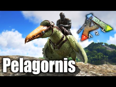 ARK Pelagornis Taming - ARK Survival Evolved Tame Gameplay