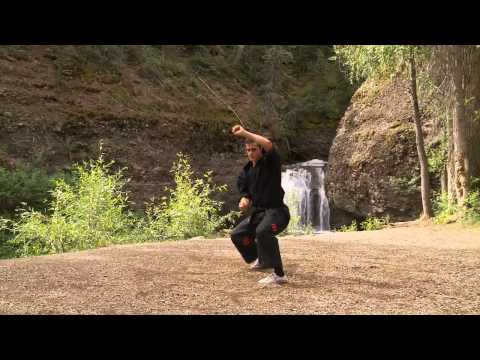Kenpo Karate - Short Form 2