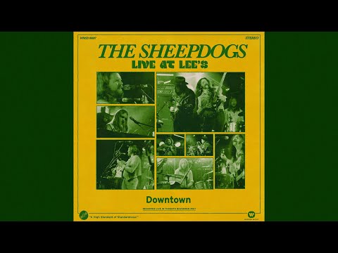 The Sheepdogs - Downtown (Live at Lee's) - Visualizer