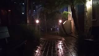 Perfect Disguise - Modest Mouse