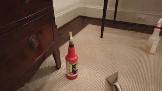 How I removed a red wine stain from a 100% wool pile rug