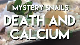 Mystery Snails: Death and Calcium