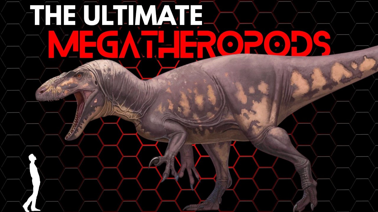 Which Theropods Could Be Bigger Than Tyrannosaurus?