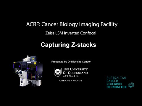 4. Zeiss LSM Confocal - Capturing Z-stacks