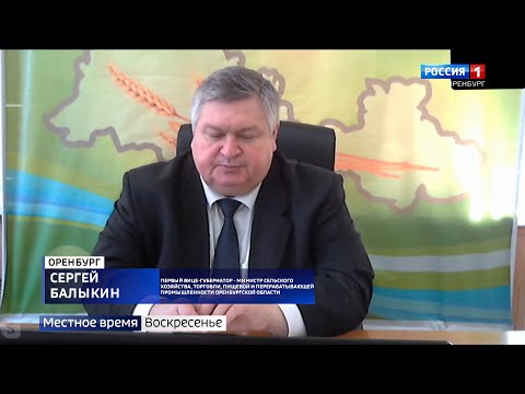 Министр сельского хозяйства и торговли Оренбургской области рассказал об итогах за 2020 год