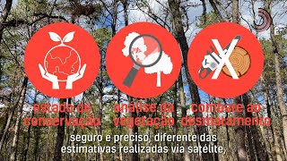 Ciência SP | Drone autônomo que voa no meio da floresta