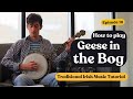 Learn Geese in the Bog - Irish Music Tutorial by James Finnegan
