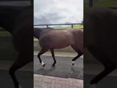 Video 3