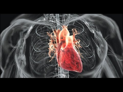 MOYONI SINA NAFASI - SADIQ TAARAB