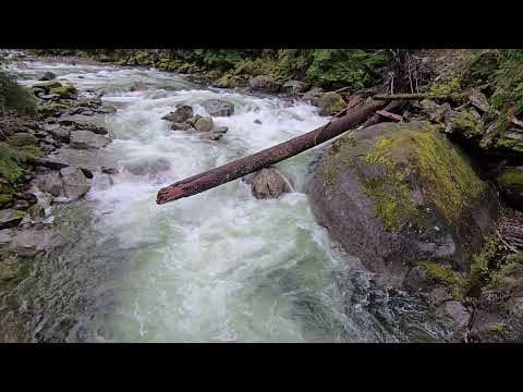 Middle Fork Trail Run - Oct 2024