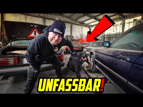 NACH 25 JAHREN AUS DER HALLE GEBORGEN! - Neues PROJEKT für die HALLE77!