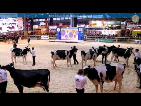 Voir la vidéo : Replay - CONCOURS PRIM'HOLSTEIN | Lundi 27 février Partie/2