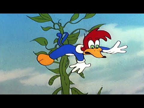 Capa de Pica-Pau e o pé de feijão | Pica-Pau | Desenhos Animados em Português