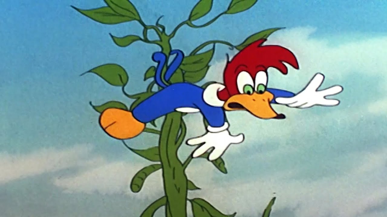 Pica-Pau e o pé de feijão | Pica-Pau | Desenhos Animados em Português