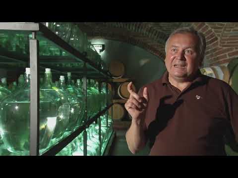 "Weine.Wege.Winzer" Folge 5: Region: West-Steiermark