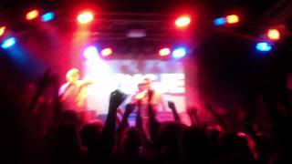 Mr. Polska Live @ Willemeen Slonsje