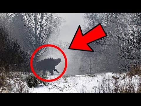 Top 10 Cosas Más Terribles Encontradas En Chernóbil