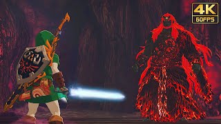 Zelda: Tears of the Kingdom - Final Boss Fight &am