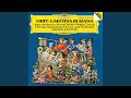 Orff: Carmina Burana / 3. Cour d'amours: "Stetit puella"