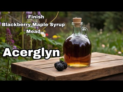 Acerglyn: Blackberry Maple Syrup Mead - Bottling, Testing, and Tasting
