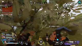 [#APEX]　花粉やばくない？？　気楽にコメントしてね #参加型＃初見大歓迎