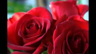 Download lagu Itna Tu Kehde Tujhe Mujhse Pyar Hai mp3