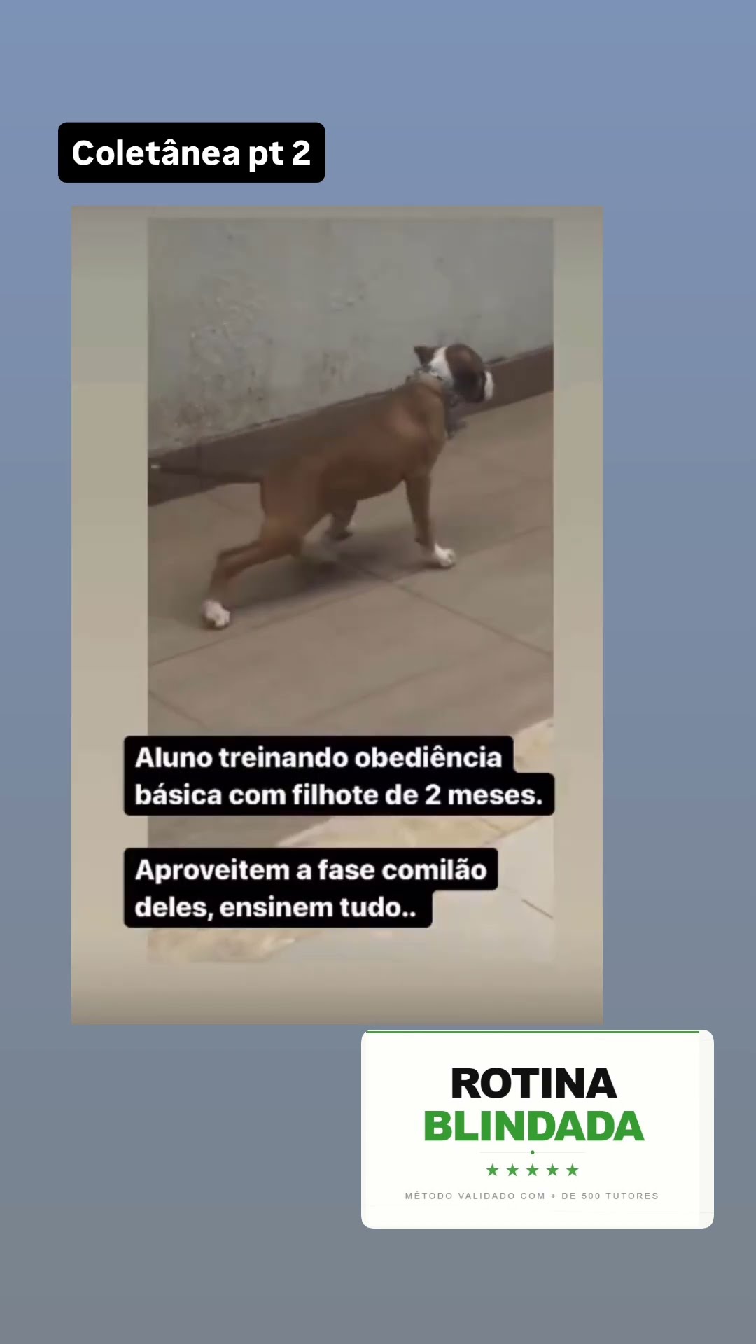 Depoimento