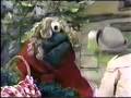 Sesame Street News Flash Cookie Red Riding Hood