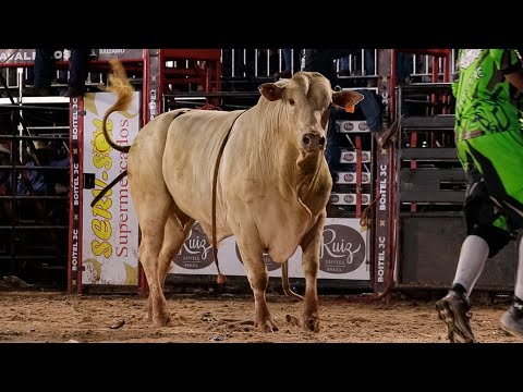 FINAL BULL RIDING COMPETITION | Balsamo-SP Rodeo 2025