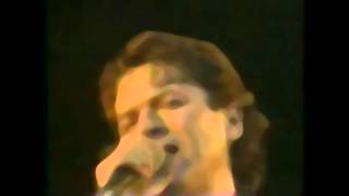 Robert Palmer - Live - Concertgebouw 1978