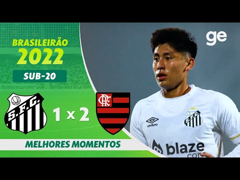 Gols e lances de Santos x Flamengo