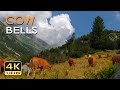 4K Mountain Cows - Cowbell Sounds - Relaxing Animals & Nature Video - Ultra HD - 2160p
