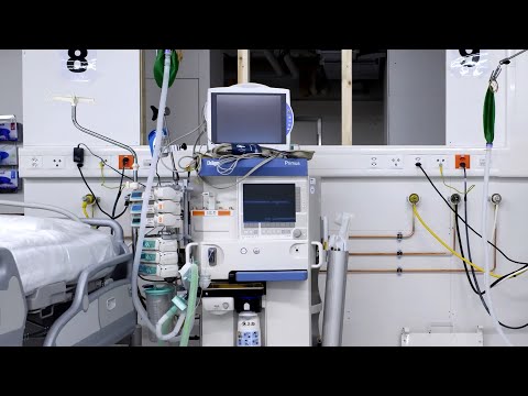 Can Animal Ventilators Help People Who Need Them?