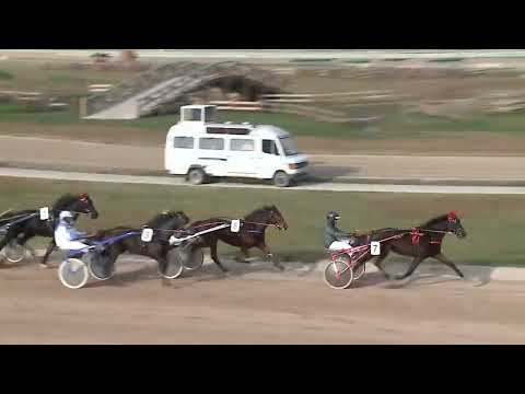 2022.12.03. 03. futam - KULIK FARM DÍJA - NYERETLEN KÉTÉVESEK VERSENYE