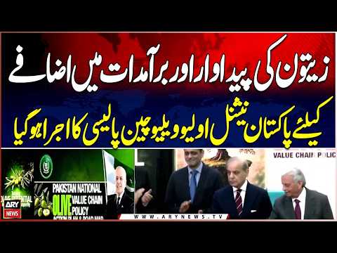 ARY News video