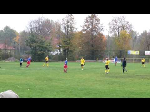 SEMP95 - PERŁA ZŁOTOKŁOS