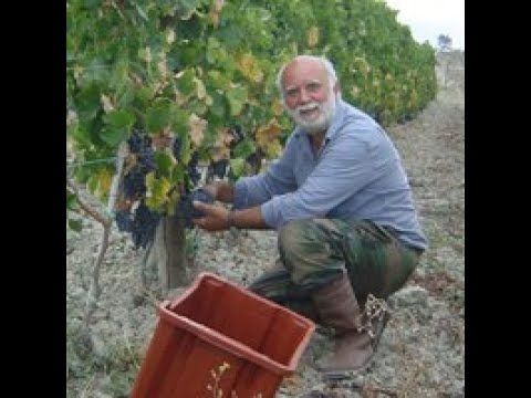 Full Version Wine Pairing and Tasting from Volterra