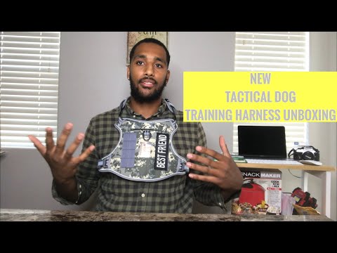#Rottiestoriches #unboxing #auroth Auroth Tactical Dog Training Harness Unboxing