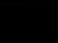 Neela Vana Cholayil Black Screen Whatsapp Status