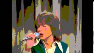 The Partridge Family ~ Storybook Love