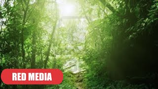 Emin Racaj - Dasme E Madhe