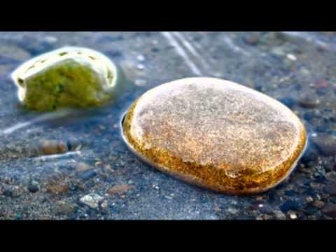 Jahrkon - Save The Planet, Kill Yourself [dubstep] (CLIP)