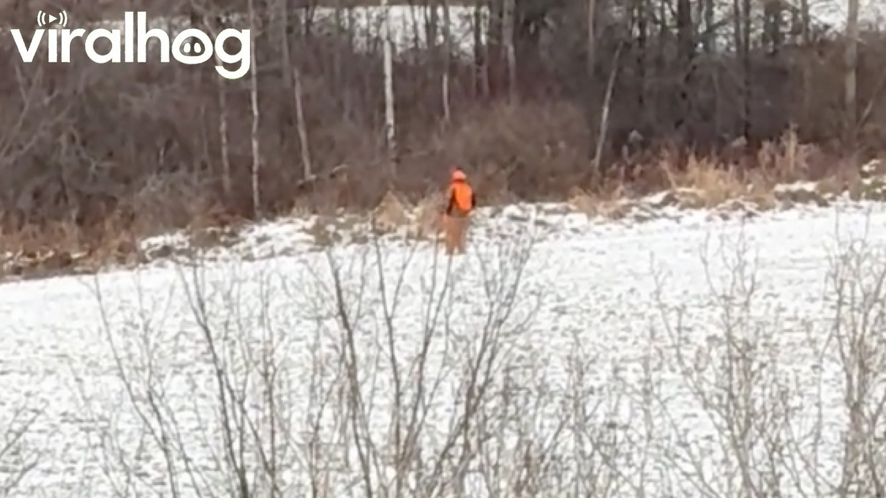 Unlucky Hunter Misses Deer Running Behind Him || ViralHog