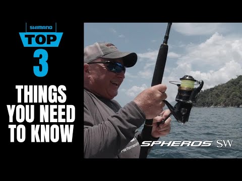TOP 3 THINGS Y...