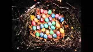 Joan of Arc - Please Don&#39;t Mistake my Arrogance for Shyness [OFFICIAL AUDIO]