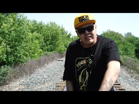 STRESSED OUT  - BIRD