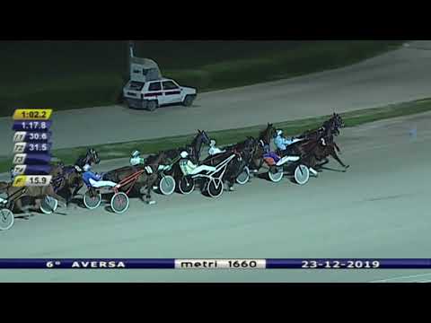 Aversa trotto 23 Dicembre 2019 - 6° Corsa
