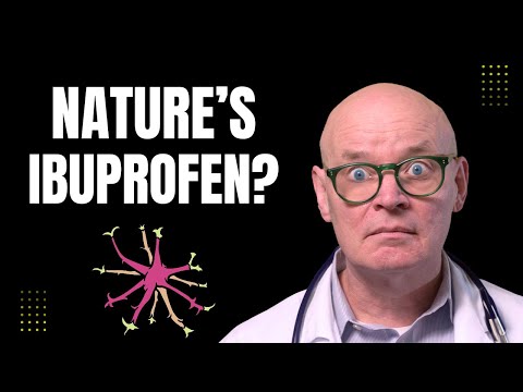 Devil’s Claw Explained: Nature’s Ibuprofen for Pain & Inflammation?