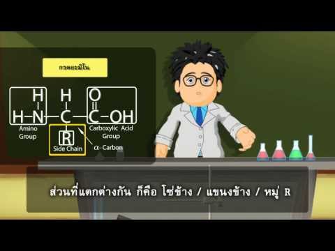 การผ่าตัดในอวัยวะเพศในเด็ก รสชาติเชื้อโรคม้า