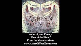 Ashes of your Enemy 
